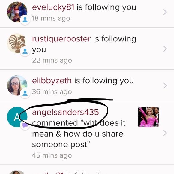 Meet your Posher, Graciela - Picture 5 of 7